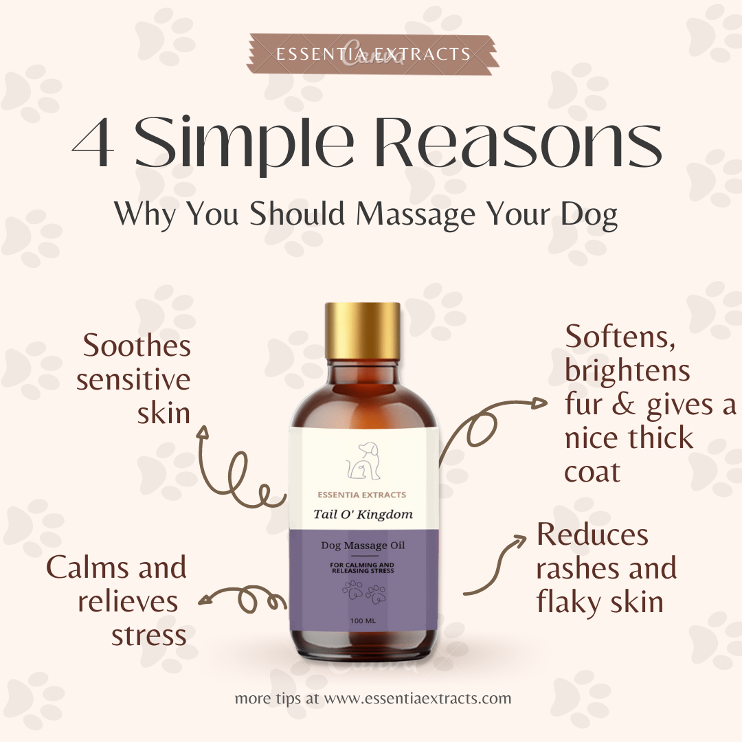 Dog Massage Oil for Calming and Relieving Stress