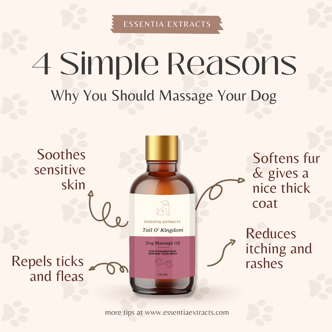 Dog Massage Oil for Keeping Itchiness and Ticks Away