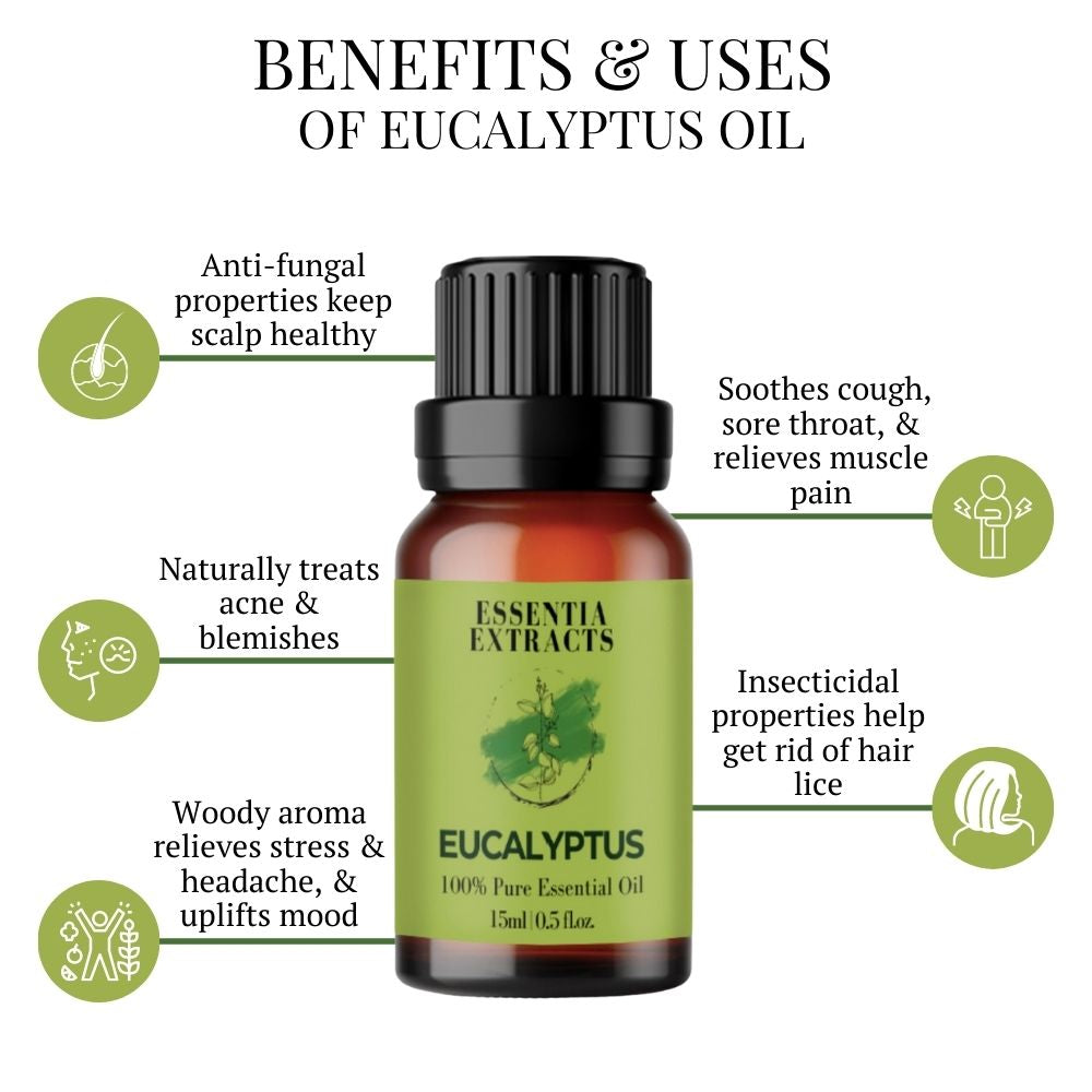 Eucalyptus Essential Oil